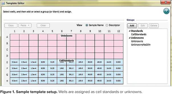図1. テンプレートのセットアップ例。ウェルは細胞標準物質または未知物質として割り当てられる。