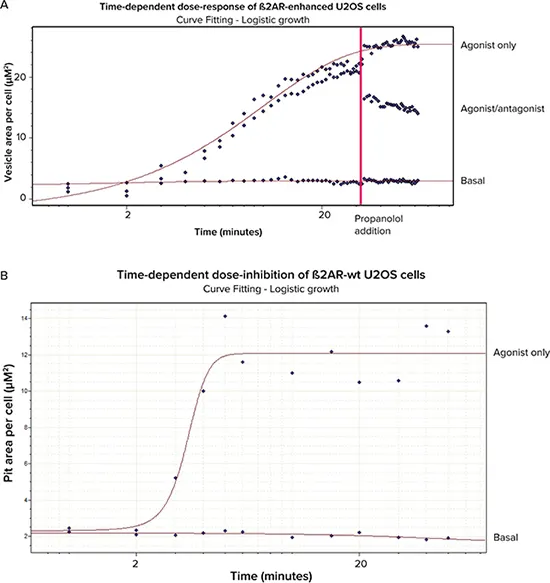 図6. 用量反応曲線と用量阻害曲線。A. ベース、アゴニスト/アンタゴニスト処理、アゴニストのみの β2AR増強セル。） B. β2AR野生型細胞（ベースおよびアゴニストのみ）。