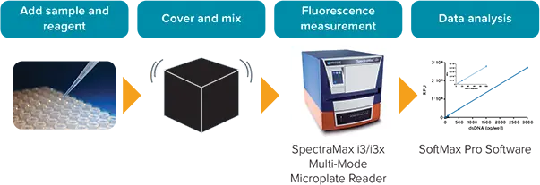 図1. SpectraMax Quant dsDNA定量アッセイキットのワークフロー。