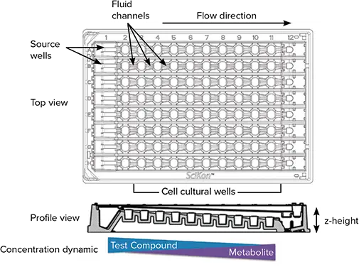 図 1. SciFlow 1000 システムの特徴。SciFlow の上面図と側面図は、流体力学とマルチウェルの主な特徴を示している。プロファイル図では、各ウェルの z-高さの違いに注意してください。ソースウェル（カラム1）に試験薬液を塗布し、後続のウェルに連続的に暴露すると、化学薬液濃度が低下する勾配が生じ、リンクされたウェルの直線配列全体にわたって代謝物と細胞反応が同時に増加する。