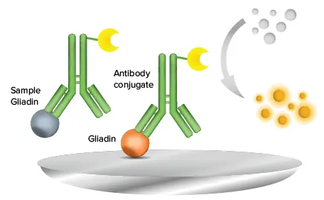 RIDASCREEN グリアジン競合法 ELISA