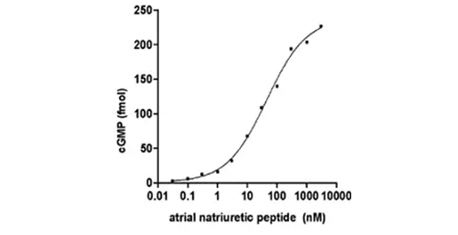 心房性ナトリウム利尿ペプチド用量反応