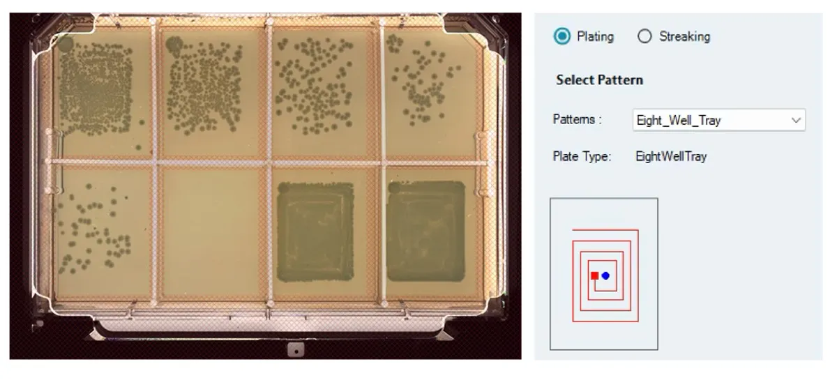 LB アガー（Ampicillin 添加）を含む 8 ウェル OmniTray 上にプレーティングした E. coli のソースカルチャーでございます。